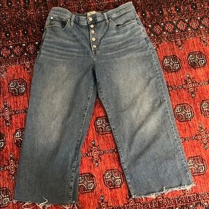Madewell Blue Wide Leg Jeans